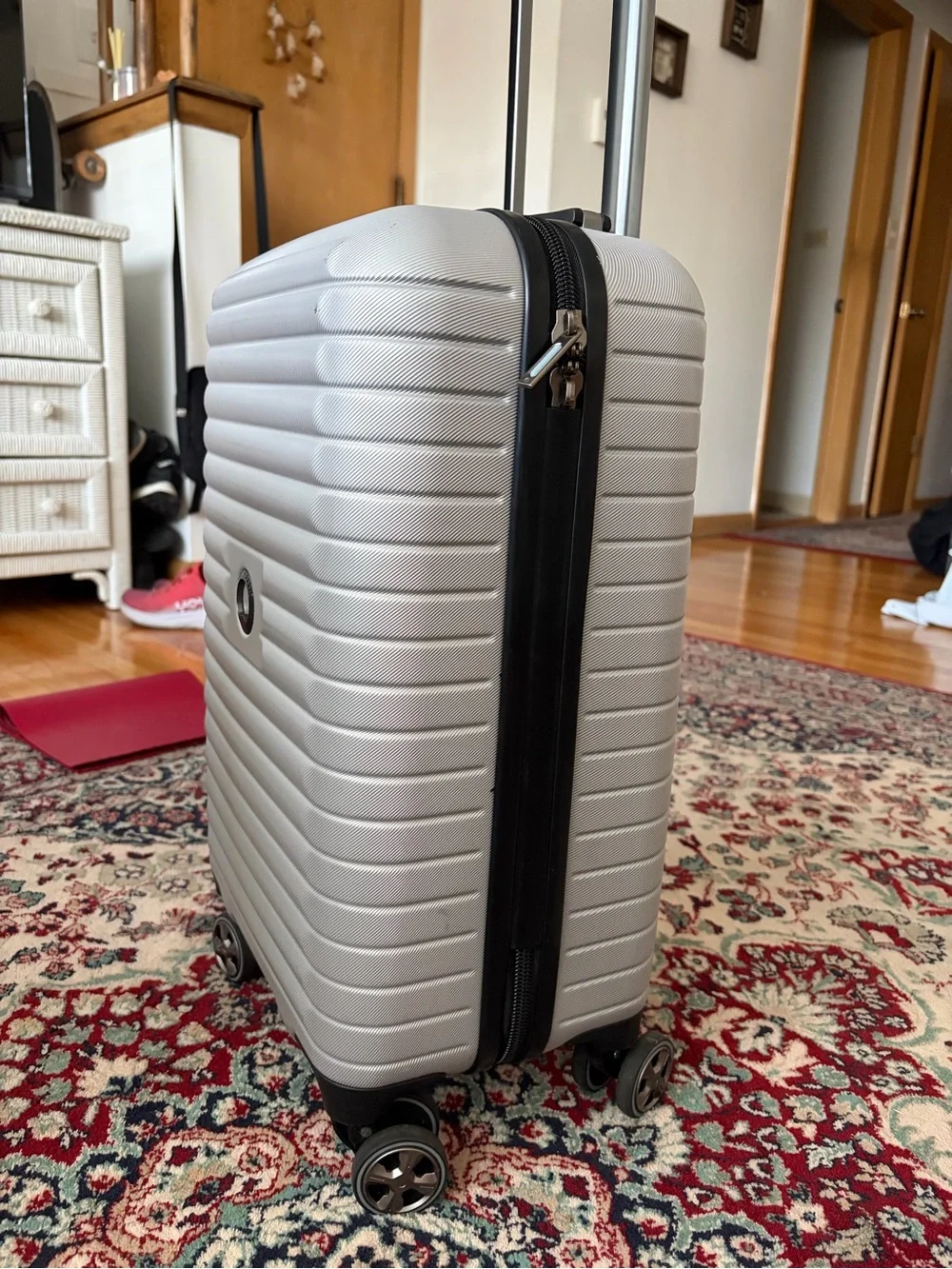 Delsey Paris 20” Carry-On Hardside Spinner Luggage – Silver/Gray